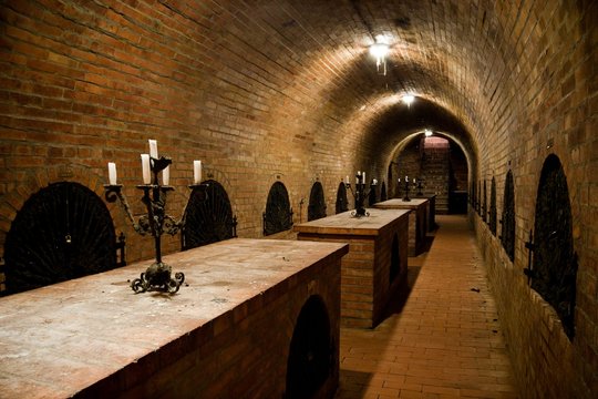Hungarian wine cellar