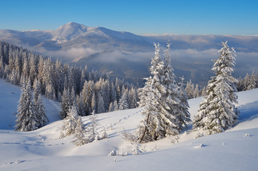 Sunny winter landscape