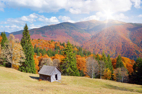 Hut in a mountain forest. Autumn Landscape