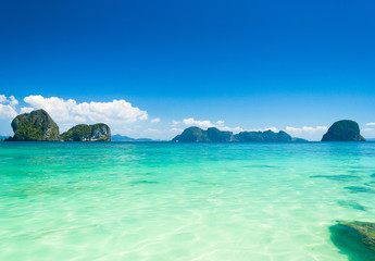 Serenity Shore Sunny Panorama