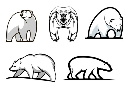 Set of cartoon polar bears