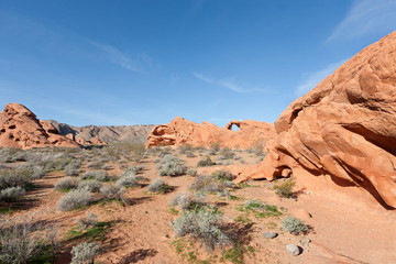 Fototapeta premium Valley of Fire State Park
