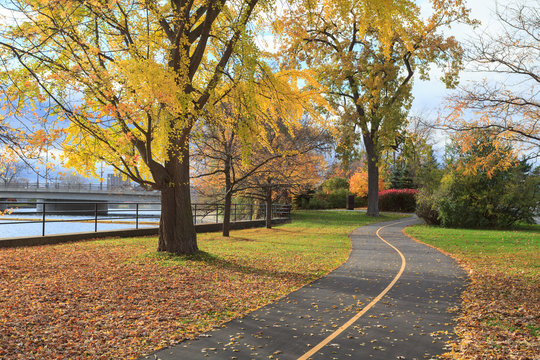 Fall Colous in a Park