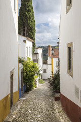 Fototapeta premium a street in Obidos town - Portugal
