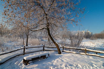 Winter scene in Moscow