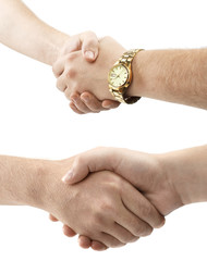 Fototapeta premium handshake
