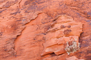 Valley of Fire State Park