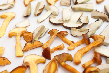 Many kinds of forest mushrooms drying.