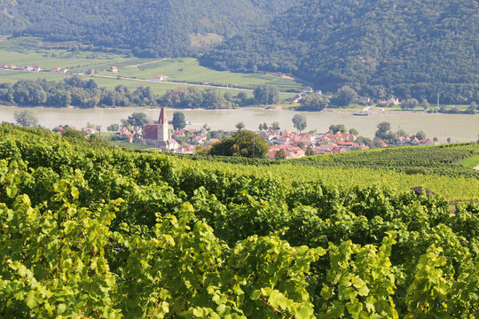 Wachau - 010 - Weissenkirchen