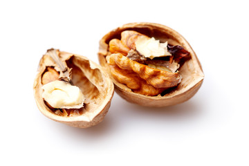 Walnut