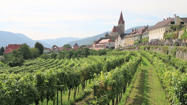 Wachau - 013 - Weissenkirchen