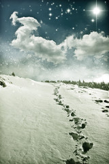 Christmas background with snowy path