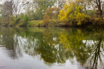 Fototapeta na wymiar forest foggy river reflection
