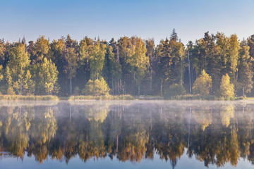 autumnal lake near the forest