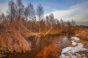 Early spring landscape with the river © Kushch Dmitry
