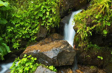 Waterfall in forest. Beautiful natural landscape