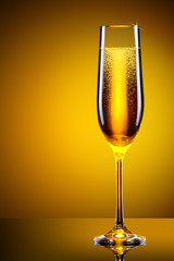 luxury glass of champagne