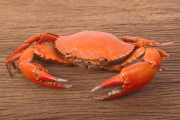 Steamed red crab on a plate