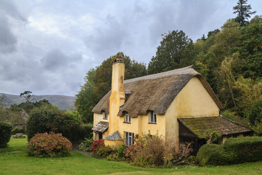 Picturesque Thatched roof cottage in Selworthy