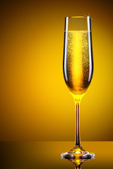 luxury glass of champagne