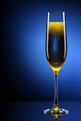luxury glass of champagne