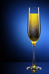 luxury glass of champagne