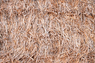 closeup haystack after the harvest of wheat,  natural  backgroun