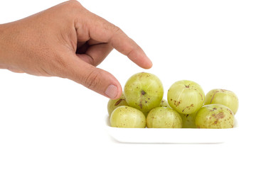 Indian Gooseberry, Emblic myrablan, Malacca tree (Phyllanthus em