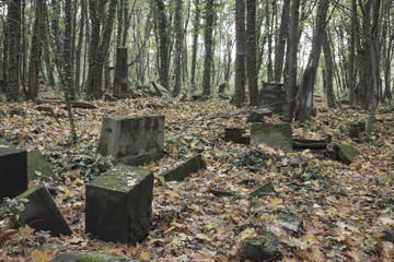 Cmentarz żydowski