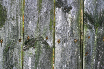 Altes Holz - verwittert, Natürliche Alterung von Holz, Material als Textur und Hintergrund
