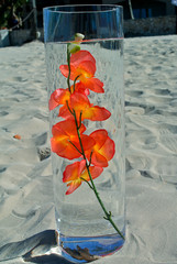 Orange Orchid in a glass on the beach for wedding decoration