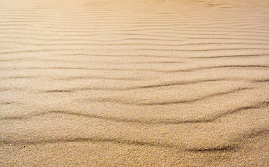Fototapeta na wymiar texture of the real sand waves
