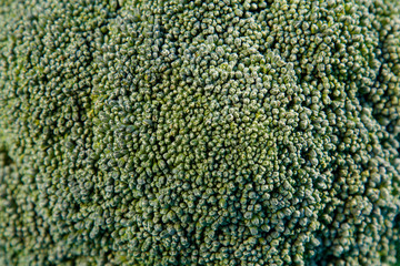 texture broccoli