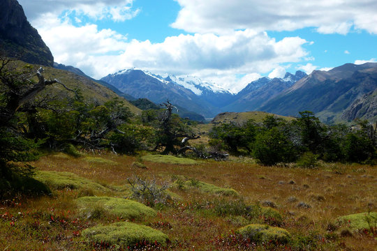 Landscape in Los Glaciares national park