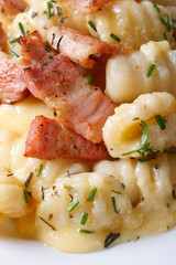 gnocchi with cheese and bacon macro. vertical top view