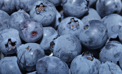 Fresh group of blueberries