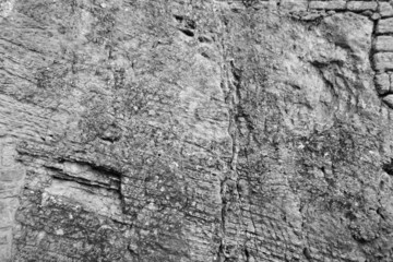 Stone background.