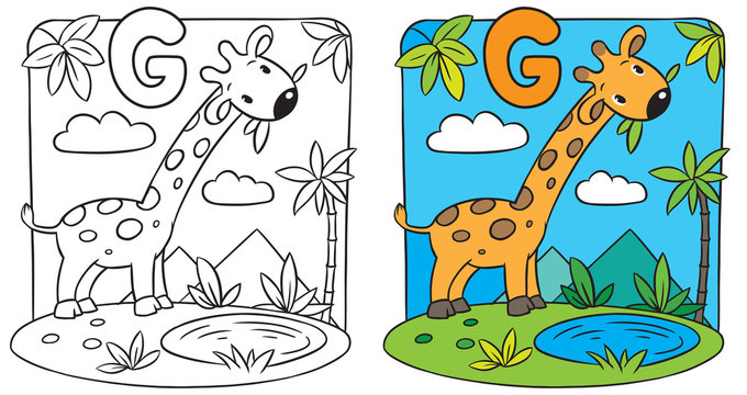 Coloring book of giraffe. Alphabet G