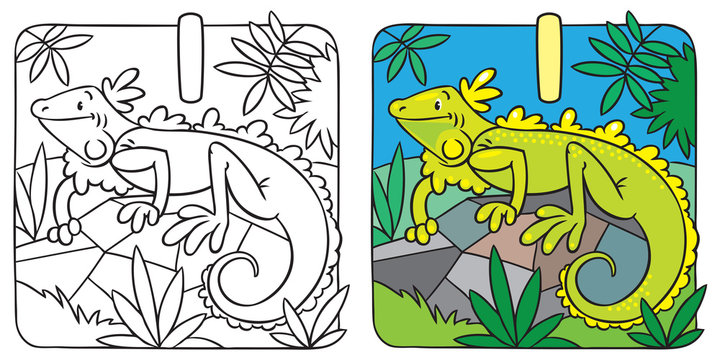 Little iguana coloring book. Alphabet I