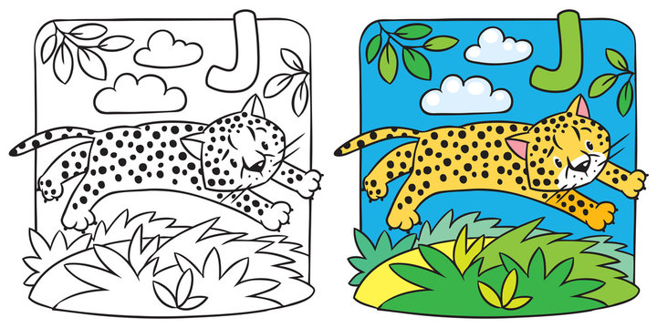 Little cheetah or jaguar coloring book. Alphabet J
