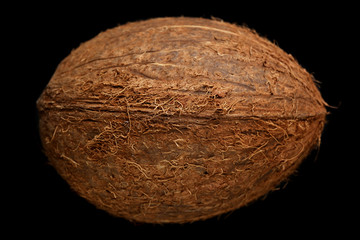 Coconut on black background