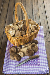 Cesta con setas de cardo silvestres frescas recién recolectadas