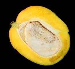 Avocado on black background