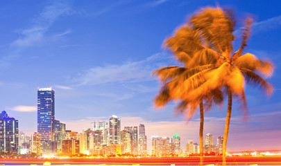 City of Miami Florida, night skyline  and palm trees