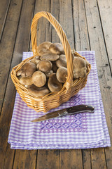 Cesta con setas de cardo silvestres frescas recién recolectadas