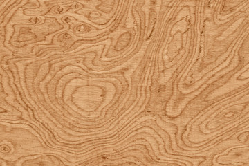 wood texture with natural pattern