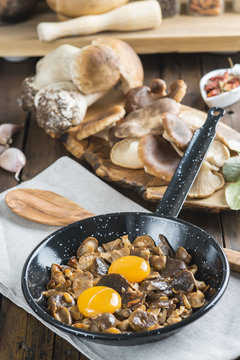 Variedad de setas y huevos e ingredientes para su cocina 