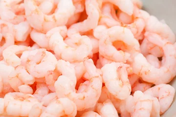 Wandaufkleber frozen prawns © boophotography