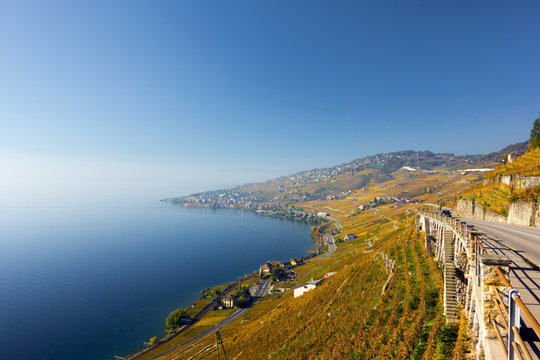 Weinberge im Lavaux