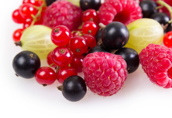 Collection of berries